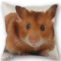 Axyaa Hamster Series Sofa Cushion Cover Pillowcase - Home Party Car Bedding