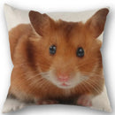 Axyaa Hamster Series Sofa Cushion Cover Pillowcase - Home Party Car Bedding