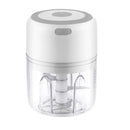 Axyaa Electric Garlic Pounder Chopper USB Charging Vegetable Masher Machine