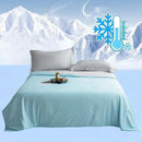Axyaa Cooling Fabric Air Condition Quilt Double Side Silky Lightweight Comforter