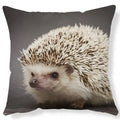 Axyaa Lovely Little Hedgehog Design Cushion Cover for 45*45cm Sofa Pillow
