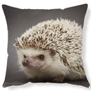Axyaa Lovely Little Hedgehog Design Cushion Cover for 45*45cm Sofa Pillow