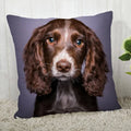 Axyaa Cocker Spaniel Sofa Cushion Cover - Creative and Simple Home Decor