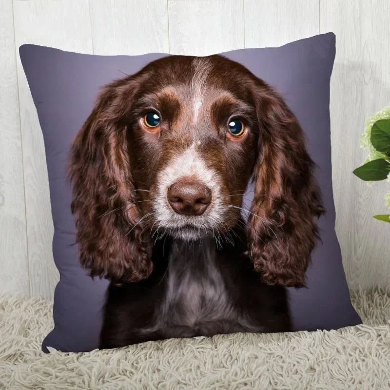 Axyaa Cocker Spaniel Sofa Cushion Cover - Creative and Simple Home Decor