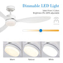 Axyaa Modern Simplicity Ceiling Fan with Lights, Remote Control, Strong Winds, LED - Living Room
