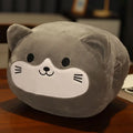 Axyaa Hand Pillow Insert Plush Toy for Winter Nap, Office, Student - Cute & Warm Gift
