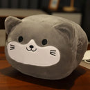 Axyaa Hand Pillow Insert Plush Toy for Winter Nap, Office, Student - Cute & Warm Gift