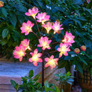Axya Solar Flower Lights: Brighten Your Outdoor Space
