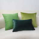 Axyaa Green Velvet Cushion Cover 18*18 Inch for Living Room Sofa Car Decoration