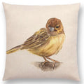 Birds Painting Cushion Cover - Axyaa Collection: Robin, Titmouse, Toucan, Sparrow, Firecrest, Cardinal, Bullfinch