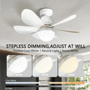 Axyaa 30W/40W LED Ceiling Fan with Remote Control and Dimming Function