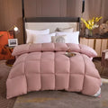 Axyaa Winter Quilted Goose Down Duvet with 100% Cotton Cover