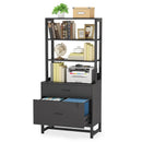 Axyaa 2 Drawer Vertical File Cabinet with Lock and Bookshelf, Modern Filing Printer Stand