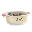Axyaa 2-Layer Drain Basket Organizer - Large Capacity Multifunctional Fruit & Vegetable Holder