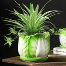 Axyaa Cabbage Flowerpot: Creative Cartoon Vegetable Basin with Tray - Garden Vase
