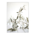 Axyaa Olive Tree Architecture Canvas Print Wall Art Posters for Living Room