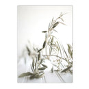 Axyaa Olive Tree Architecture Canvas Print Wall Art Posters for Living Room