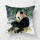 Axyaa Panda Print Polyester Cushion Cover - 45x45cm