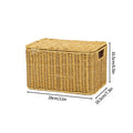 Axyaa Imitation Rattan Woven Storage Box with Lid - Home Organizer Basket