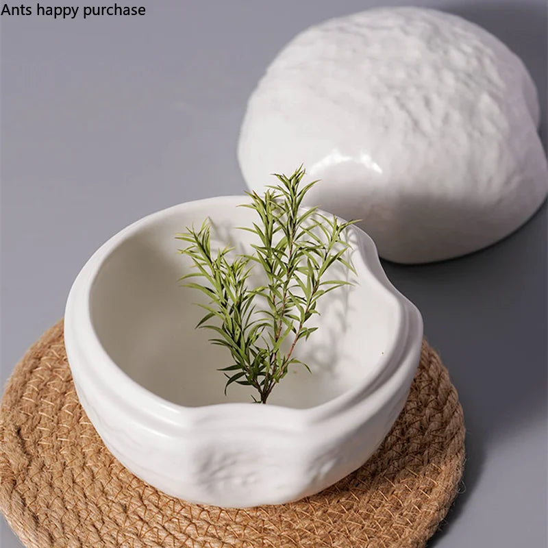 Axya White Ceramic Dessert Bowl Set with Cover and Dinner Plate