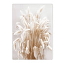 Axyaa Beige Dandelion Bunny Tail Grass Canvas Art Print Nordic Flower Poster