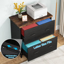 Axyaa Wood Lateral File Cabinet 2-Drawer, Home Office Filing Cabinet
