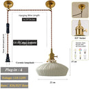 Axyaa Adjustable Glass Pendant Light with E27 Base for Living Room Bedroom Kitchen