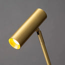Axyaa Modern Long Arm Floor Lamp for Art Decor, Indoor Lighting and Creative Reading