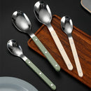 Axyaa Stainless Steel Cutlery Set with ABS Handle - 5pcs Flatware Set