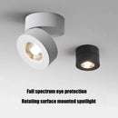 Axyaa LED Surface Mounted Downlight Ceiling Light 10W 12W Bedroom Living Room Spotlight