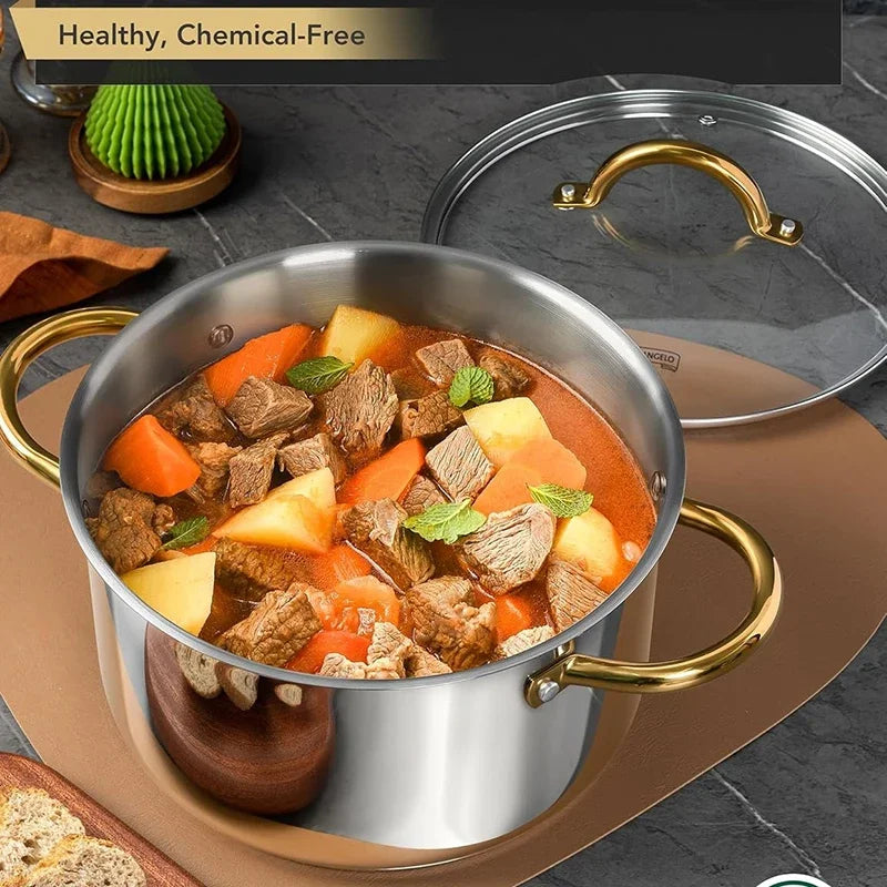 Axyaa Stainless Steel Stock Pot with Lid 10QT Induction Compatible Soup Pot