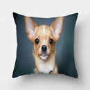 Axyaa Pug Dog Print Cushion Cover Throw Pillow for Sofa Living Room Decor
