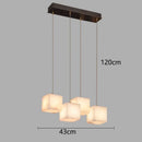 Axyaa Nordic Chandeliers for Dining Room Indoor Lighting Fixtures