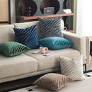 Axyaa Zebra Print Velvet Square Pillow Cover for Sofa Couch Living Room Bedroom