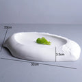 Axyaa Irregular Shape Ceramic Plate for Pasta, Steak, Sushi, Desserts, and Snacks