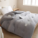Axyaa Double-Sided Milk Fleece Winter Quilt Core - Thickened & Warm