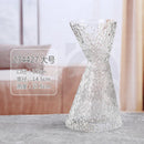 Axyaa Clear Art Glass Vase for Flowers - Decorative Transparent Hydroponic Ornament