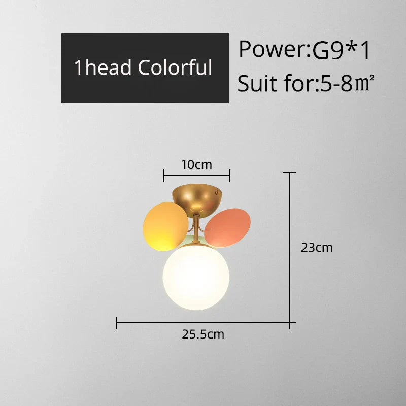 46151788003580|46151788036348