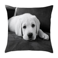 Axyaa Cute Pet Puppies Black and White Art Peach Skin Pillowcase