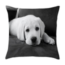 Axyaa Cute Pet Puppies Black and White Art Peach Skin Pillowcase