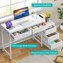 Axyaa Industrial Computer Desk with 5 Drawers and Reversible Printer Stand Cabinet