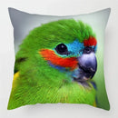 Colorful Parrots Decorative Cushion Cover by Axyaa - 45x45cm