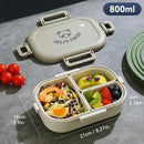 Axyaa 3-Compartment Removable Lunch Box 800ml Portable Bento Box Microwave Container