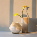 Axyaa Irregular Hydroponic Glass Vase - Creative Ins Style Home Decor