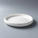 Axyaa Ceramic Western Steak Plate: Stylish Dinner Plate for Home, Kitchen, Desserts, Fruits.