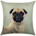 Square Linen Pug French Bulldog Pillow Cover by Axyaa