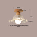 Axyaa Clear Glass LED Ceiling Lights Modern Ceiling Lamp Home Lighting