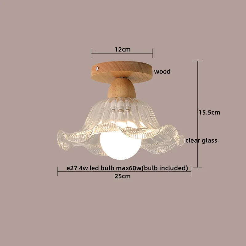 Axyaa Clear Glass LED Ceiling Lights Modern Ceiling Lamp Home Lighting