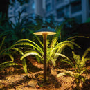Axyaa LED Outdoor Waterproof Courtyard Light for Garden Landscape Lighting