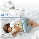 Axyaa 30W/40W LED Ceiling Fan with Remote Control and Dimming Function